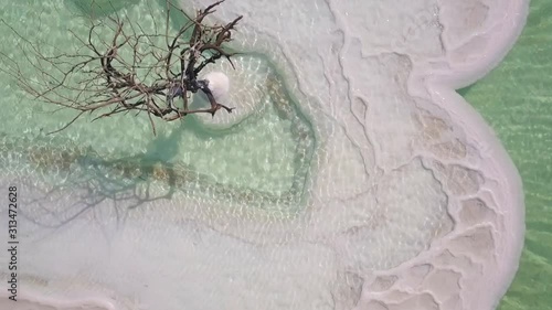Lonely Tree on small island made from salt in Dead sea ,Israel. Aerial footage. 