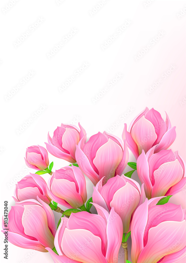 Obraz premium Beautiful background with magnolia flowers