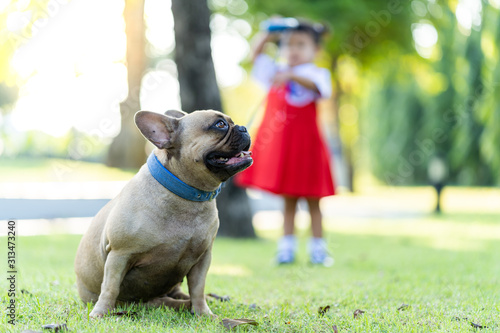 Cute little girl walking in park with her lovely french bulldog.