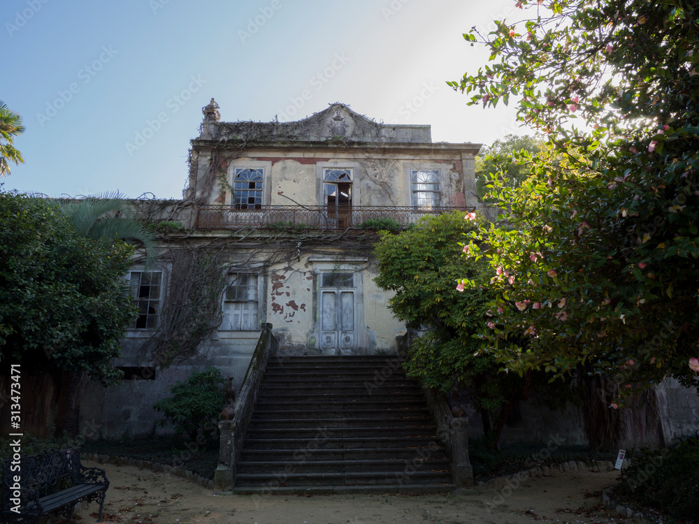 Obraz premium OLYMPUS DIGITAL CAMERA