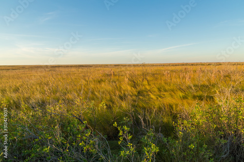 Grasslands of Galveston Island State Park bending in the wind with partly cloudy blue sky BG photo