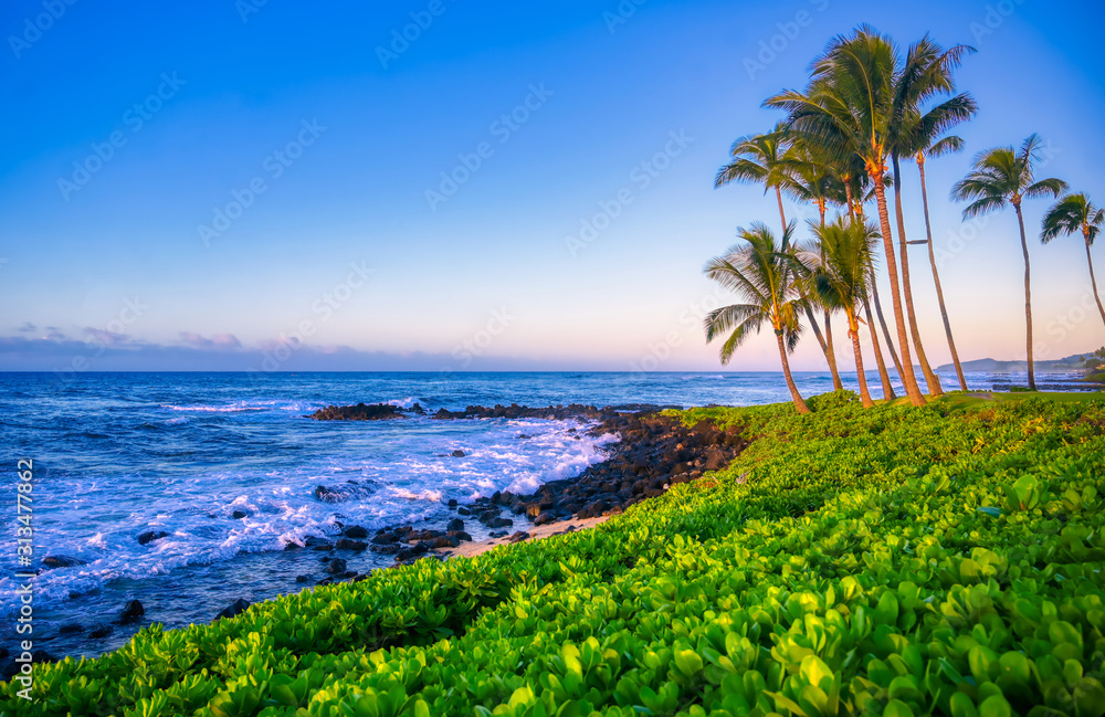 Sunrise over the coast of Kauai, Hawaii.