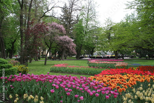 beautiful view in a city park in summer