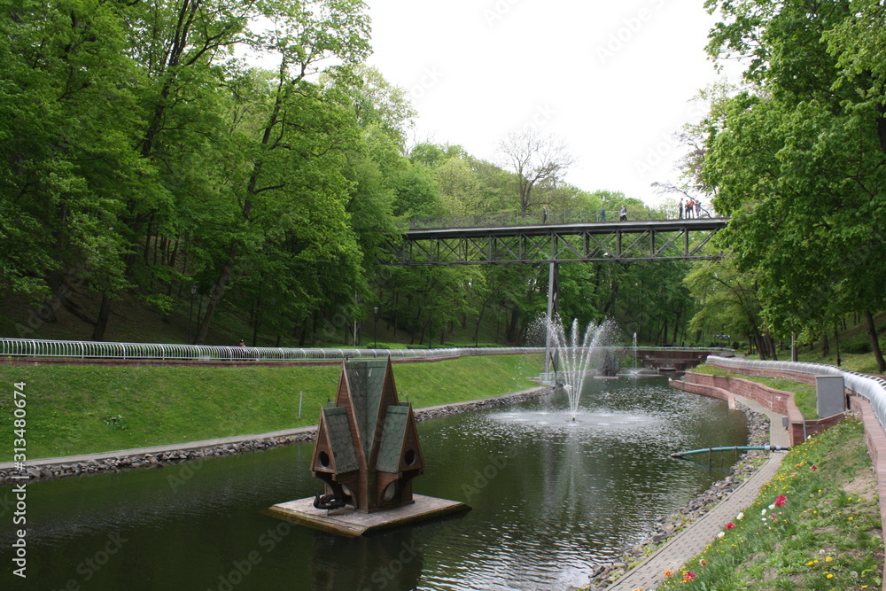 Naklejka premium pond for swangs in a city park
