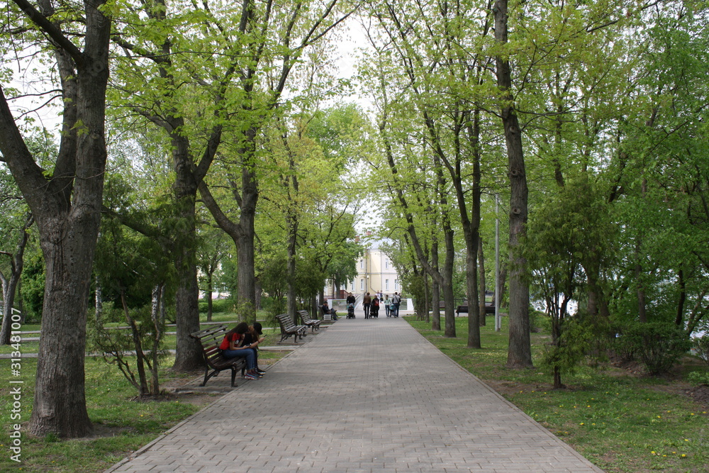 beautiful view in a city park in summer