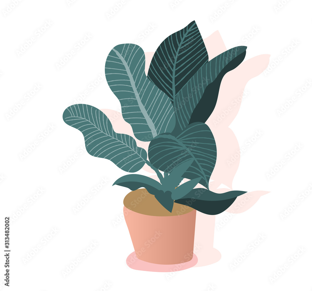 Obraz premium plant illustration. potted house plant vector. trendy botanical art print. 