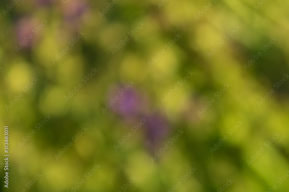 green abstract bokeh background green abstract bokeh background