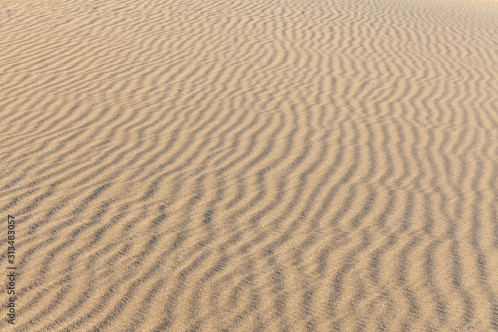 Sand Texture. Background from fine sand. Sand background Sand Texture. Background from fine sand. Sand background