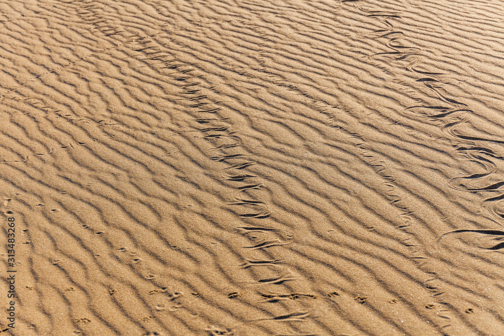 Traces of snake in the sand. Sand Texture. Background from brown sand. Traces of snake in the sand. Sand Texture. Background from brown sand.