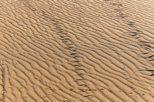 Traces of snake in the sand. Sand Texture. Background from brown sand.