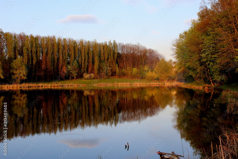the forest is reflected in the lake