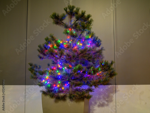 colorful illimunated christmas tree photo