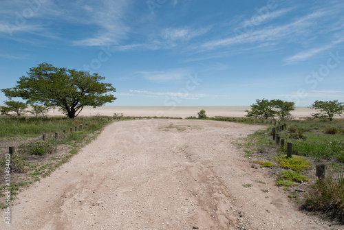 Etosha Salt Pan under a blue sky