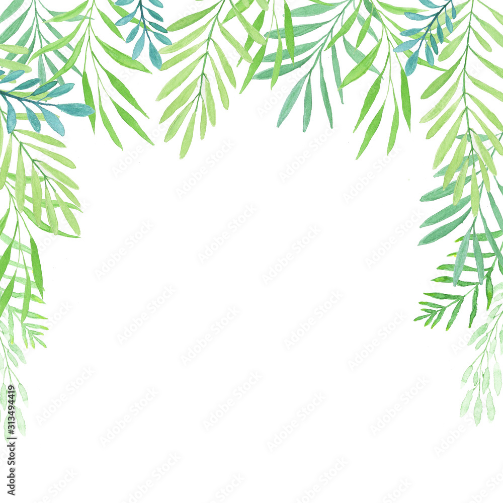 Fototapeta premium Watercolor frame design with various green plants isolated on white background. Hand drawn natural card with branches and leaves. Frame with watercolor light green foliage.