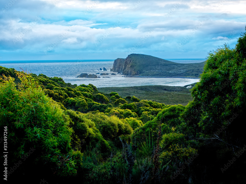 Landscape in Brunny Island in Tasmania, beautiful national reservation in Australia. Sunset or sunrise with the forest and the ocean with beautiful clouds