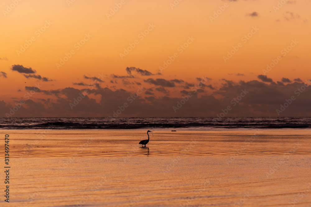 Orange sunset over ocean with bird wading in water