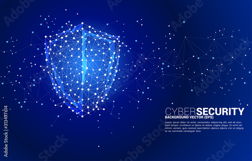 Protection shield icon from dot connect line polygon network. concept of guard security and safety