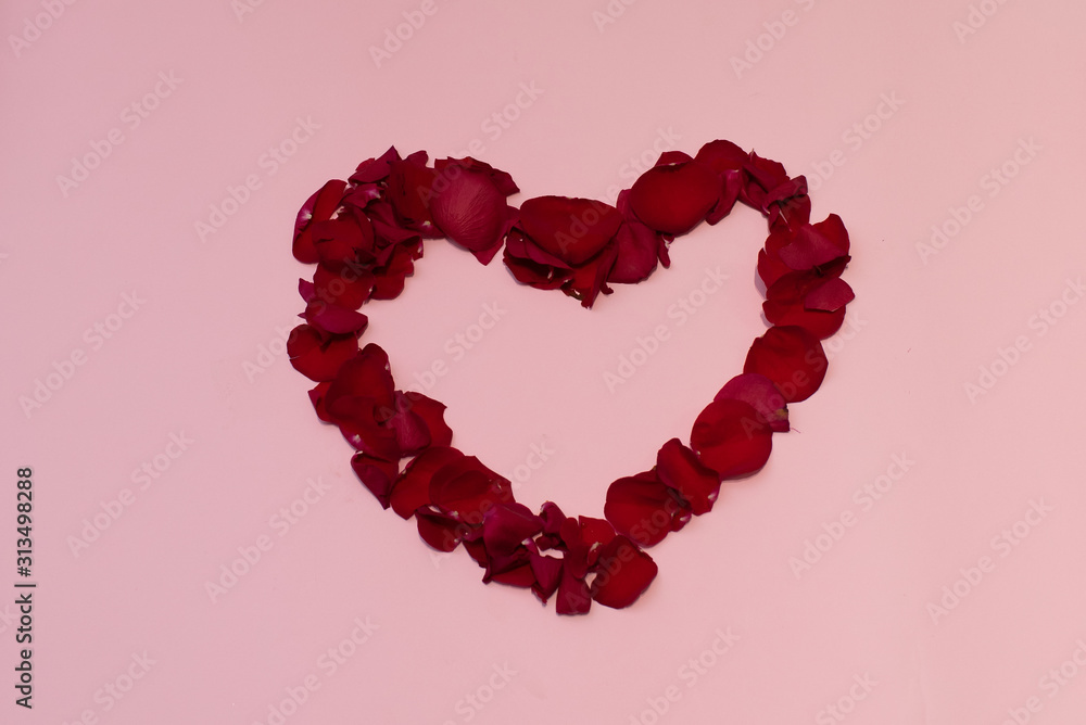 Red heart of rose petals isolated on pink background