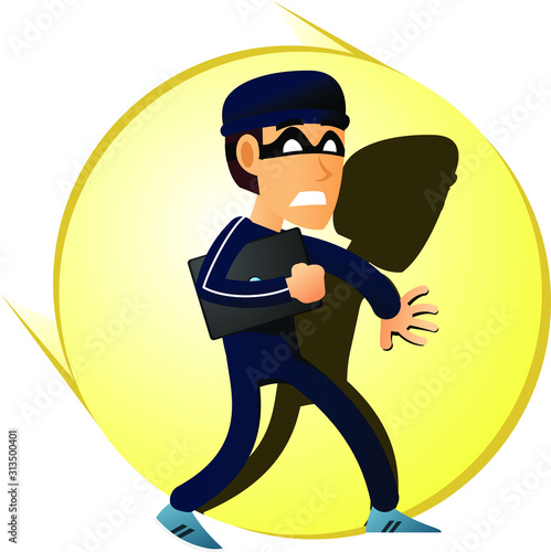 thief caught