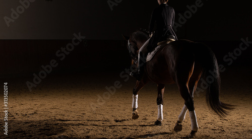 Cuadro en lienzo Horse dressage with rider in the dress of the heavy class in the crotch with the canister in the partial shot