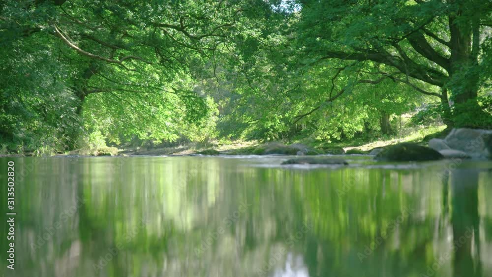 Peaceful view above surface of gentle stream through forest Peaceful view above surface of gentle stream through forest