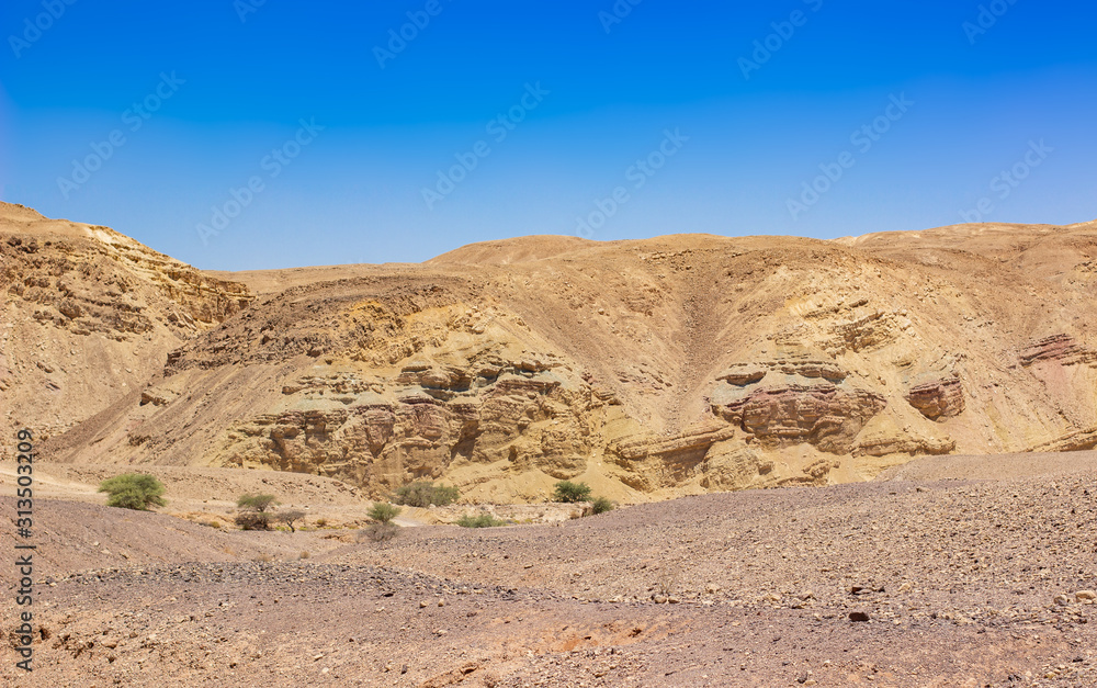 Wadi Rum desert landscape sand valley stone rocky mountain horizon background , copy space for text