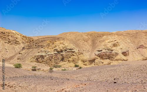 Wadi Rum desert landscape sand valley stone rocky mountain horizon background , copy space for text