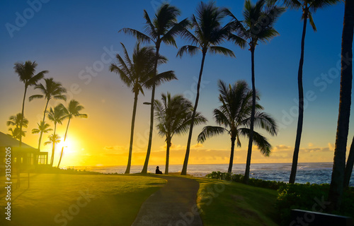 A silhouette watches the sunrise on Kauai, Hawaii. © Jbyard