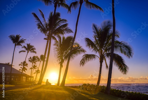 A silhouette watches the sunrise on Kauai, Hawaii.