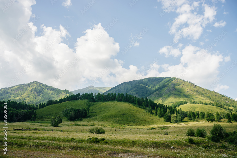 Wonderful scenic landscape to beautiful green mountains with trees in sunny day. Vivid summer scenery with forest hills in sunlight. Picturesque mountains with greenery and woods under blue cloudy sky