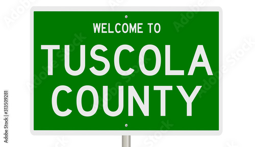 Rendering of a green 3d highway sign for Tuscola County photo