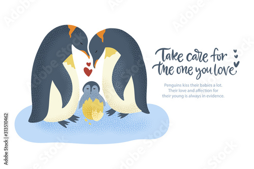 Happy valentine day vector textured animal card in a flat style with quote and real facts about love. Romantic illustration. Penguin family take care of a baby.