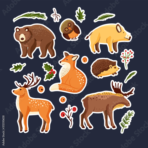 Hand drawn forest animal vector set in a flat style. Woodland cartoon icon funny collection with owl, deer, big brown bear, boar hog and a fox.