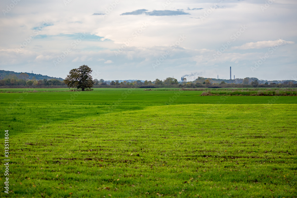 One lonely walnut tree in the middle of green field and smoking chemical factory chimney in the background, cloudy late autumn day. Photo from near Zlato Pole village, Dimitrovgrad, Haskovo, Bulgaria One lonely walnut tree in the middle of green field and smoking chemical factory chimney in the background, cloudy late autumn day. Photo from near Zlato Pole village, Dimitrovgrad, Haskovo, Bulgaria