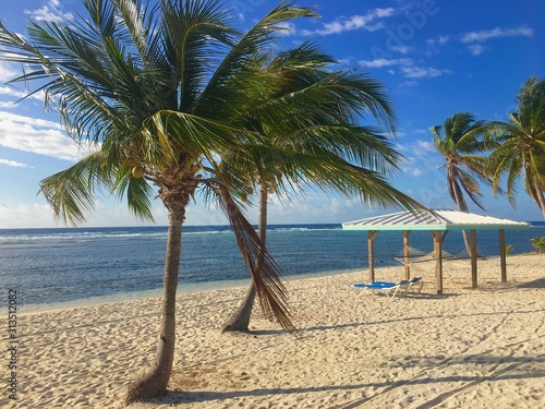 Palm trees and hammocks on a tropical beach by ocean © Melissa