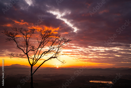 언덕빼기 고갯길에서 본 해돋이 © sephoto