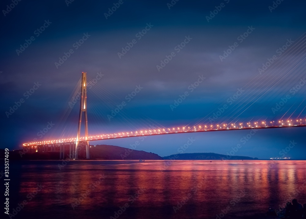 Night landscape with a view of the Russian bridge in the illumination.