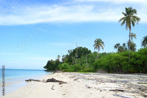 tropical beach with palm trees