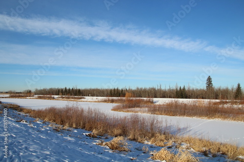 Winter In The Wetlands  Pylypow Wetlands  Edmonton  Alberta