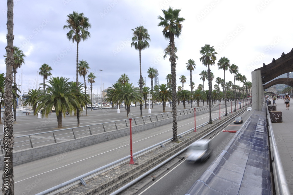 Boulevard and cars in city of barcelona spain