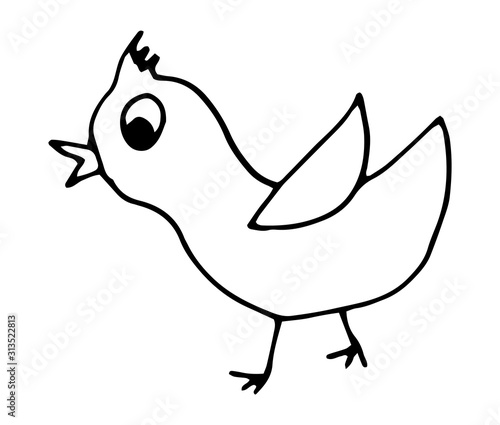Vector hand drawn chicken outline doodle icon. Sketch of a running chicken sketch