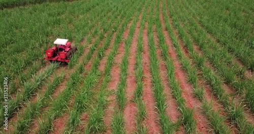 Tractor fertilizing sugar cane plantation. Aerial View. photo