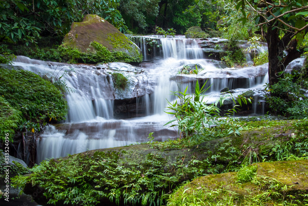 waterfall in forest