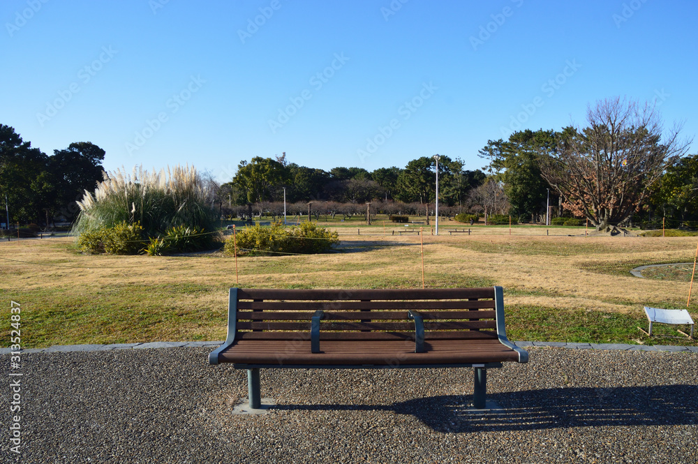 冬の旭を浴びる公園のベンチ