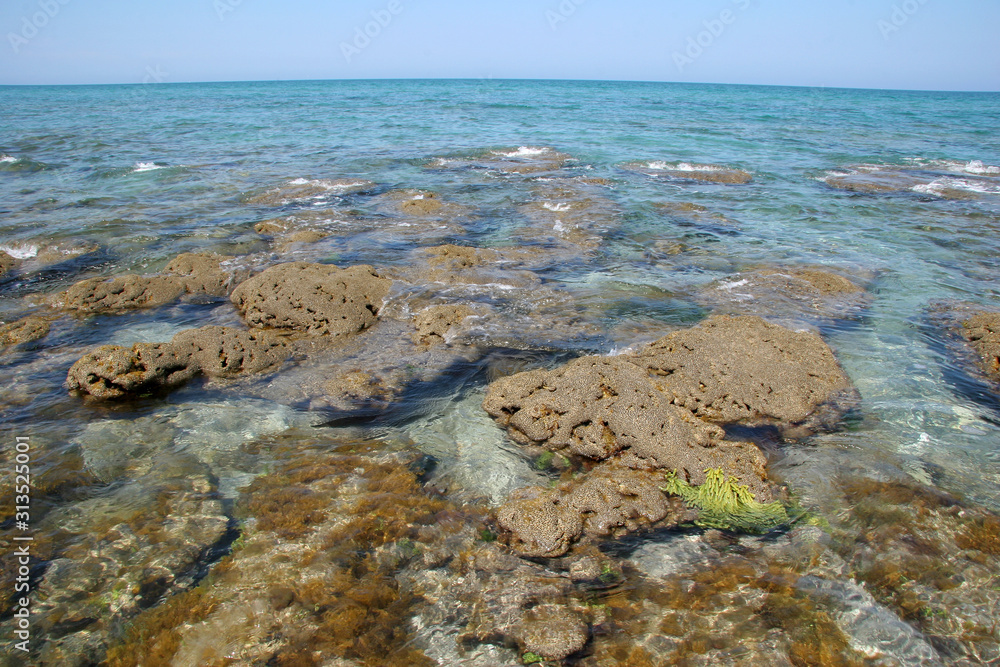 Tide pools and rock formations of Coral Cove Park in Tequesta, Florida at extreme low tide on clear calm afternoon. Tide pools and rock formations of Coral Cove Park in Tequesta, Florida at extreme low tide on clear calm afternoon.