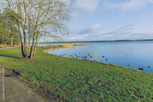 City Riga, Latvia. View of the lake with peoples and ducks. Travel photo. photo