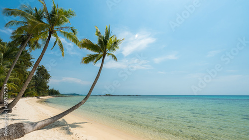 Beautiful coconut trees palm at the sand beach for relaxation  Located Koh Kood Island  Thailand