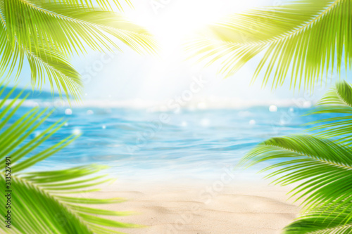 Blur beautiful nature green palm leaf on tropical beach with bokeh sun light wave abstract background.