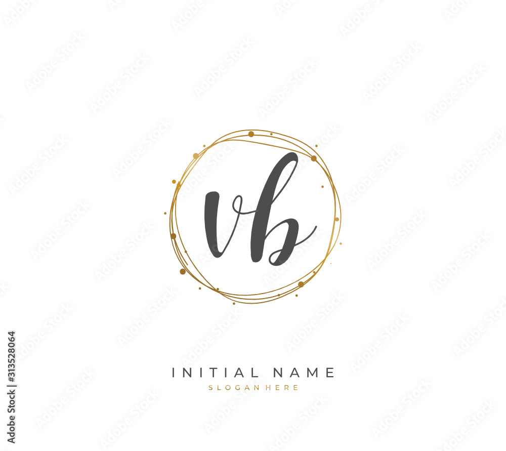 Handwritten initial letter V B VB for identity and logo. Vector logo template with handwriting and signature style. Handwritten initial letter V B VB for identity and logo. Vector logo template with handwriting and signature style.