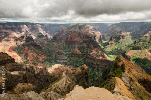 Colorful canyon on Lush Pacific Ocean Island